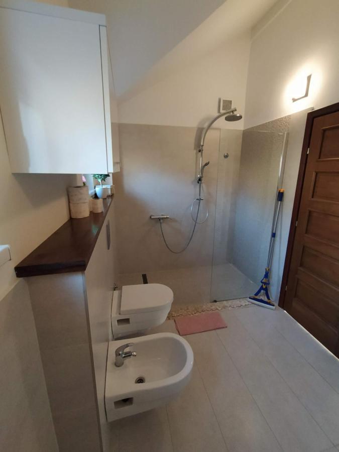 Oasis Of Peace Modern House Vila